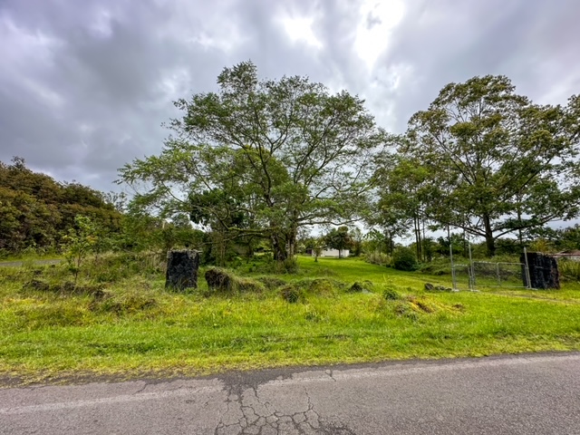 11-3239 4th Street Volcano, HI 96785 - Photo 16 of 22 a backyard of a house with a garden and plants