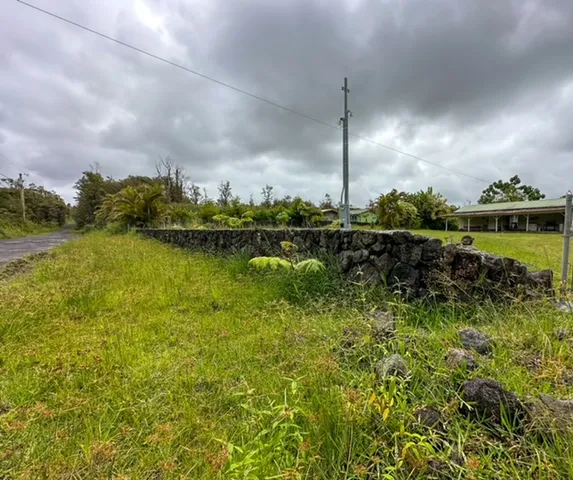 a front view of a house with yard
