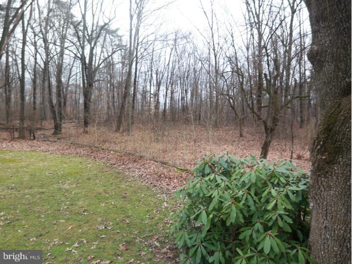 99 Rattlesnake Hill Road Boyertown, PA 19512 - Photo 24 of 25