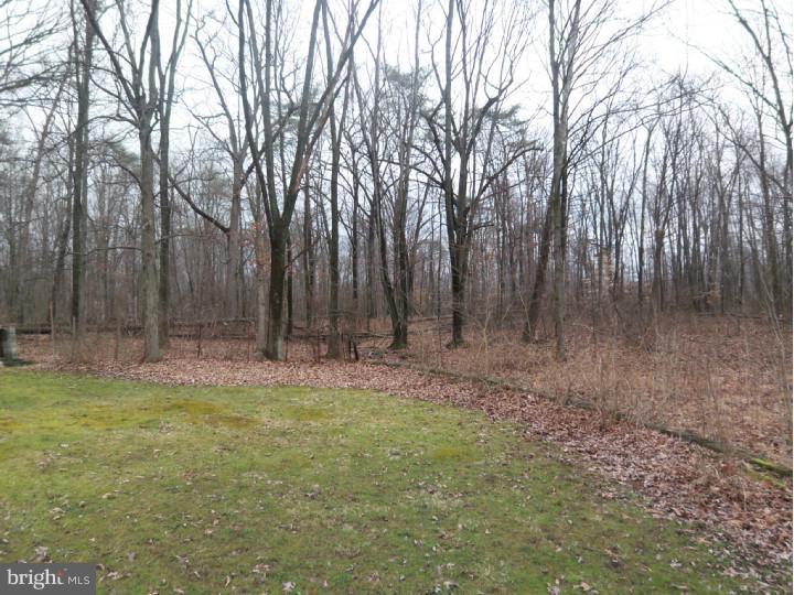 99 Rattlesnake Hill Road Boyertown, PA 19512 - Photo 25 of 25