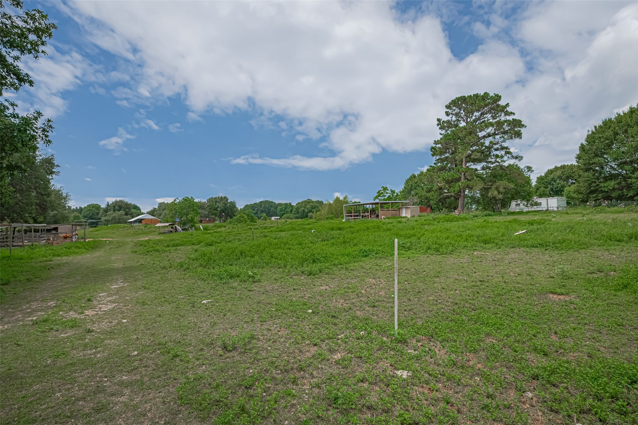 35535 Windmill Road Hempstead, TX 77445 - Photo 11 of 41 This photo showcases a spacious, open plot of land with greenery, scattered trees, and some structures in the distance, offering a rural, serene setting ideal for building a home or farming.