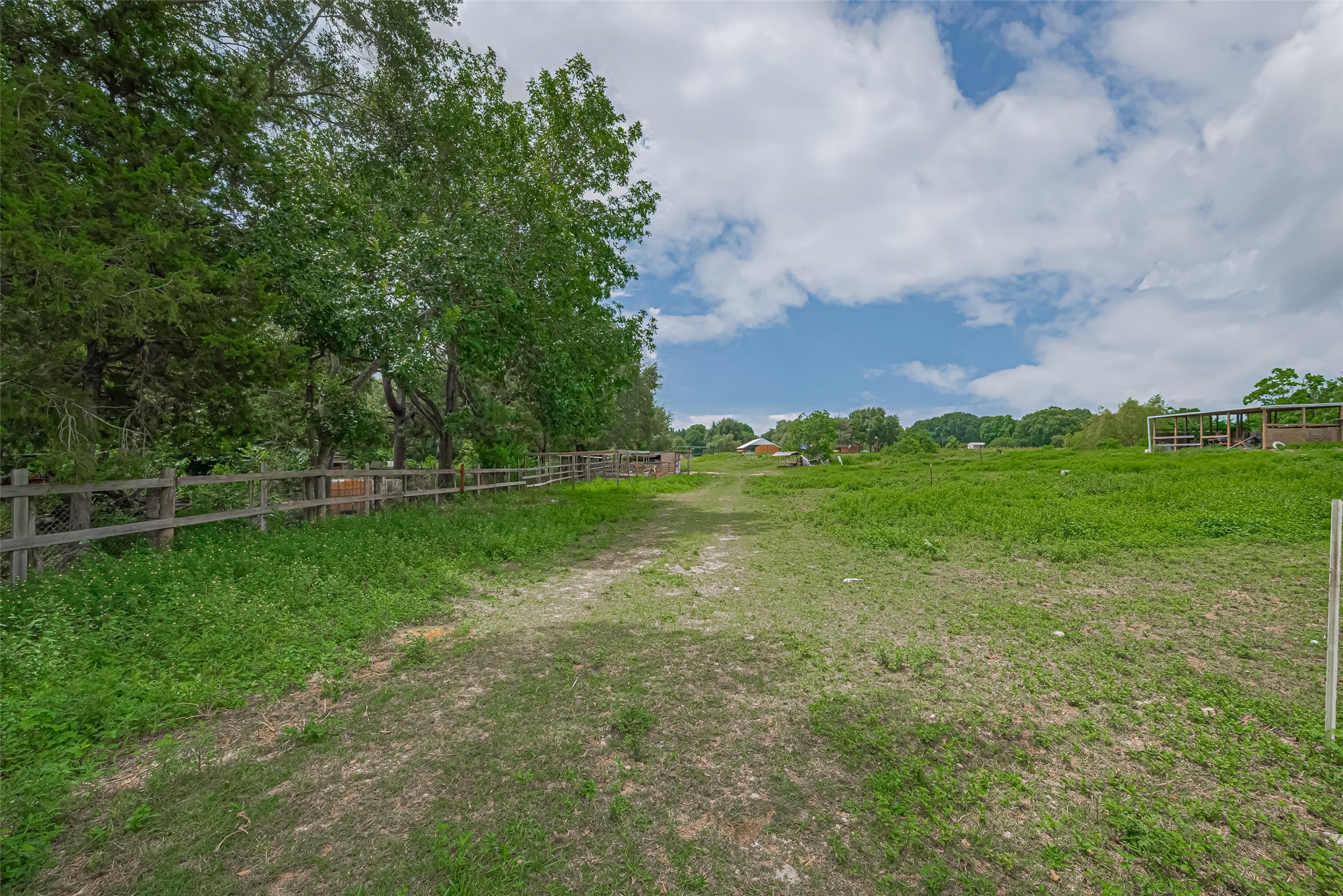 35535 Windmill Road Hempstead, TX 77445 - Photo 17 of 41 This image shows a spacious, grassy plot of land with a clear pathway leading through it. The area is bordered by a wooden fence, lined with mature trees, and surrounded by open sky, providing a peaceful, rural setting ideal for building a home.