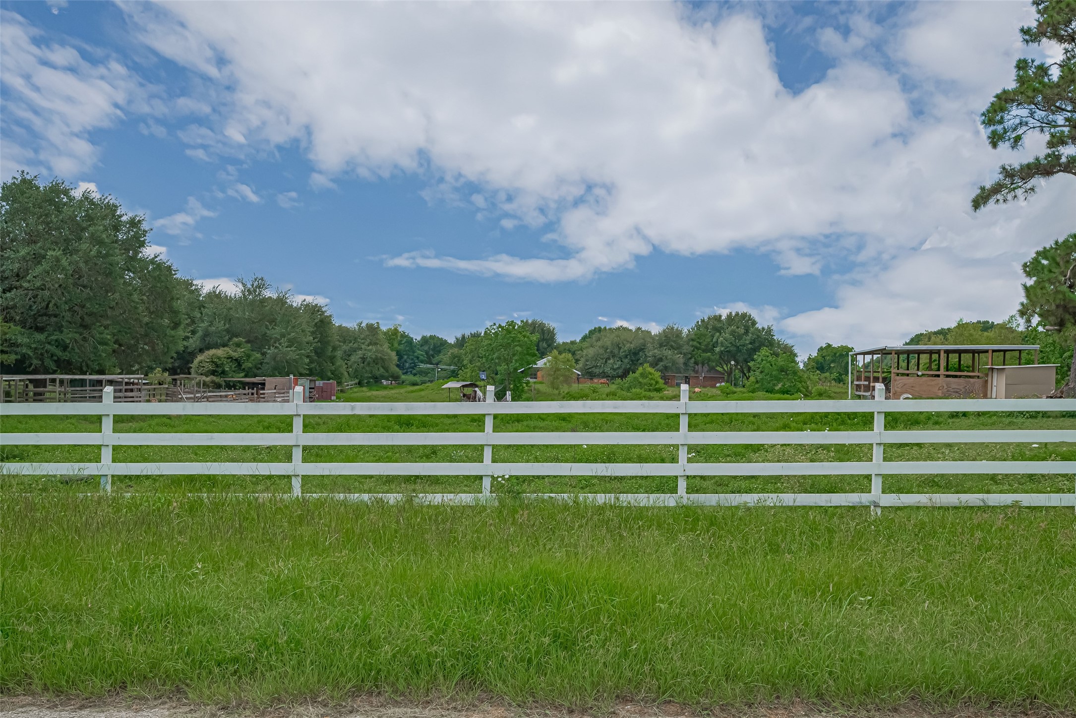 35535 Windmill Road Hempstead, TX 77445 - Photo 25 of 41 The photo shows a spacious, green property with a white fence and a backdrop of trees. Ideal for those seeking a rural or equestrian-friendly setting, offering privacy and open space.
