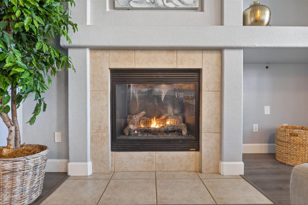 3045 Delta Tule Way Sacramento, CA 95834 - Photo 13 of 65 a living room with furniture and a potted plant