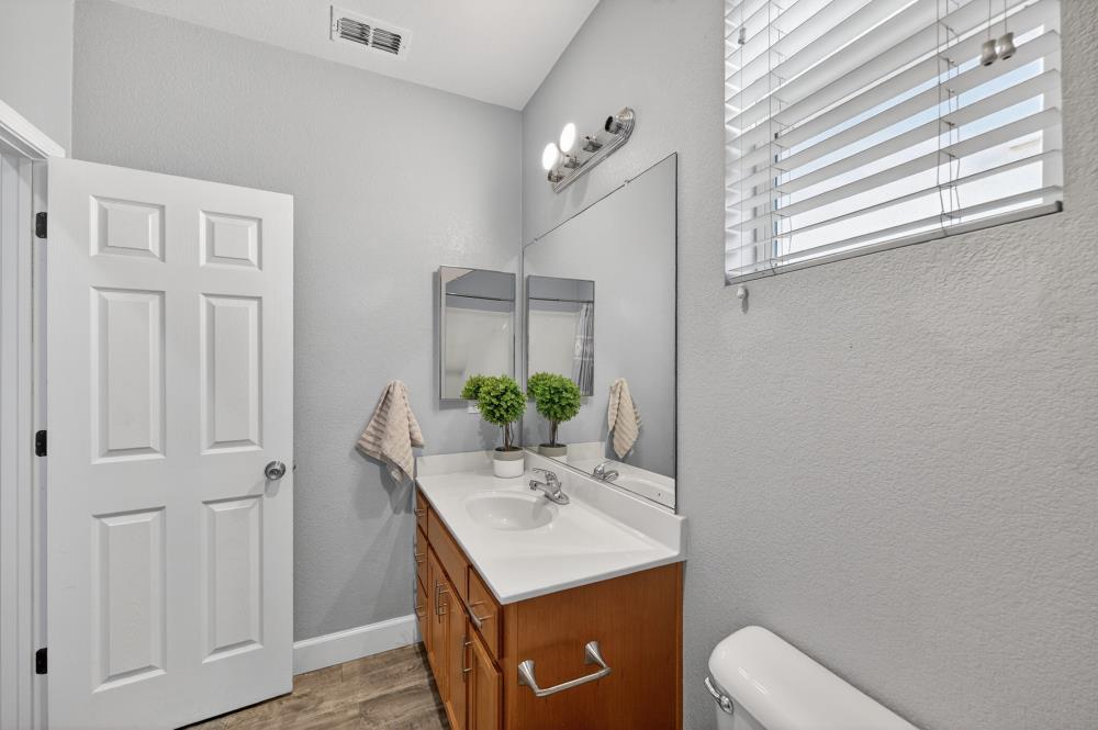 3045 Delta Tule Way Sacramento, CA 95834 - Photo 22 of 65 a bathroom with a sink a toilet and potted plant