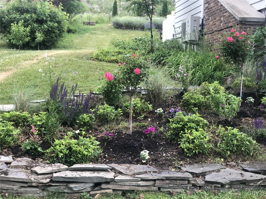 2125 Terrace Lane South Skaneateles, NY 13152 - Photo 46 of 50