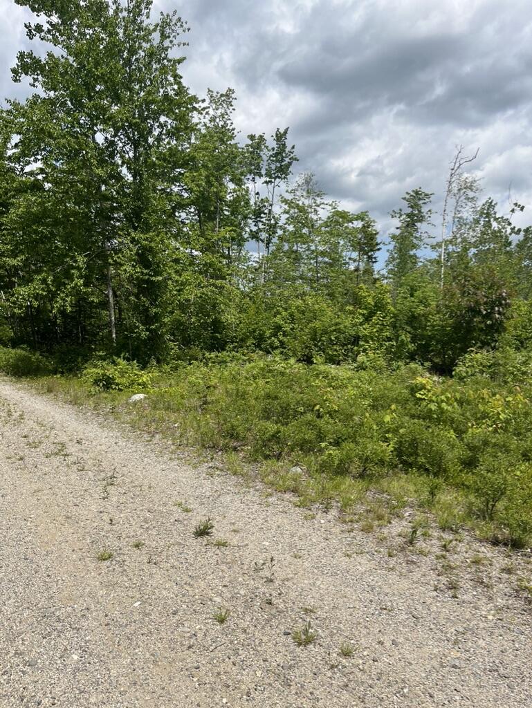 M4-l20 Hardwood Ridge Road Deblois, ME 04622 - Photo 9 of 15 A2632F17-7C8A-4134-834D-65ED56CC7346_1_1