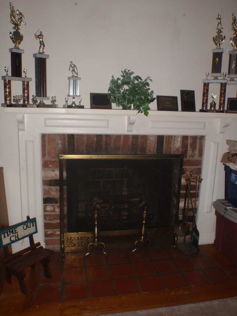 123 Gyles Road Southwest Aiken, SC 29803 - Photo 7 of 10 Living Room Fireplace