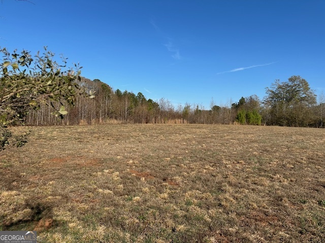 331 Worsham Road Culloden, GA 31016 - Photo 7 of 33 Gallery Image 7