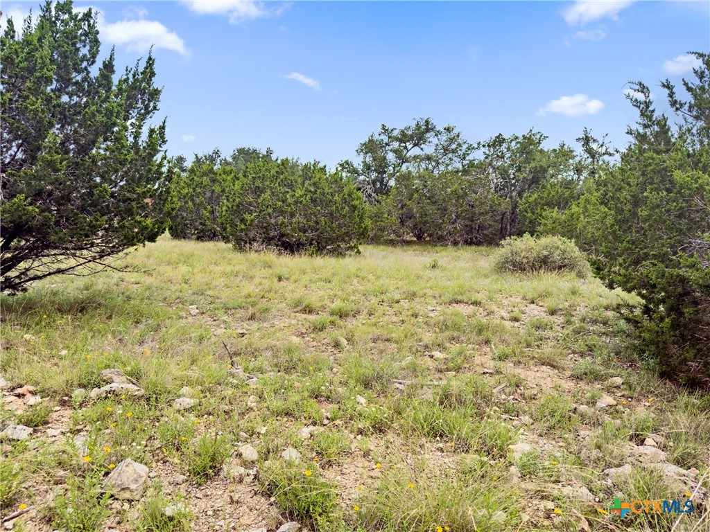 141 Vista View Place Spring Branch, TX 78070 - Photo 11 of 32