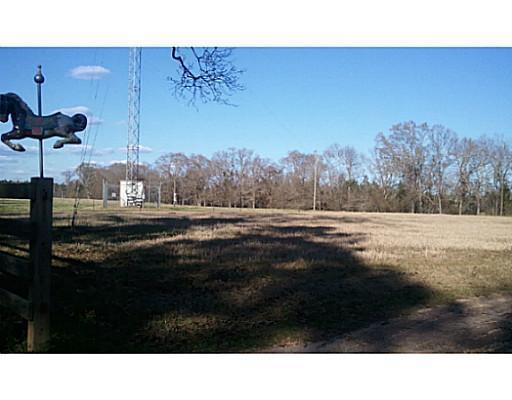 117 Whatley Road Brooklyn, MS 39425 - Photo 3 of 16 Additional Photo