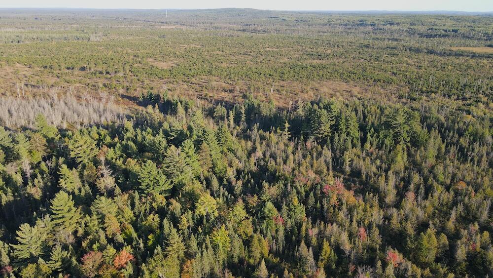 Vl River Lake Road Roscommon, MI 48653 - Photo 28 of 35