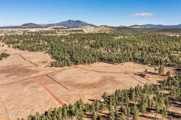 a view of outdoor space and trees