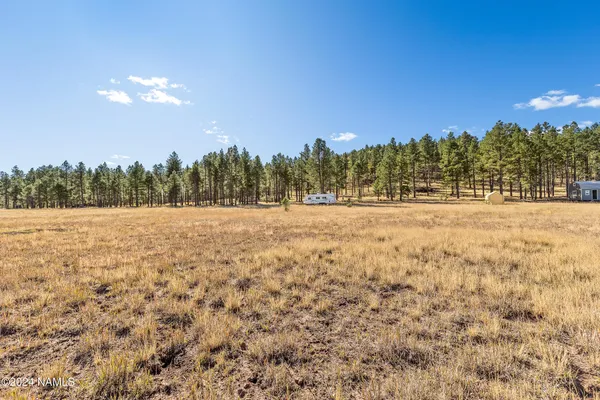 a view of an ocean and beach
