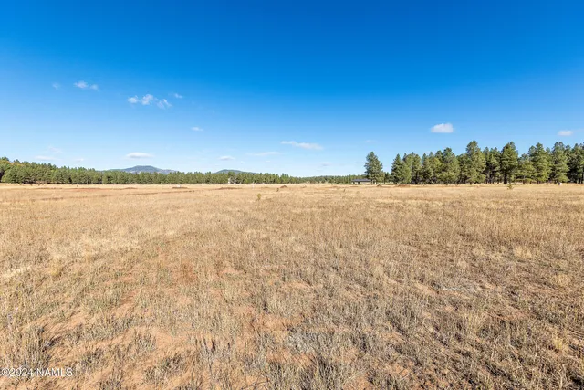 a view of lake with city