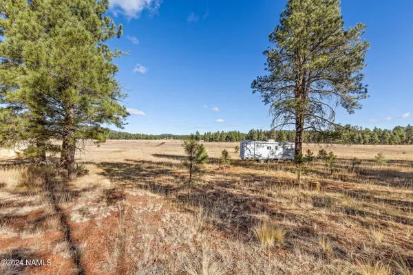a view of a yard covered with snow