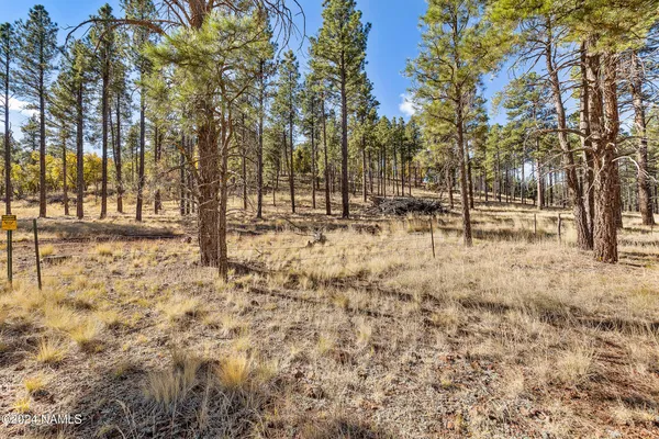 a view of covered with snow
