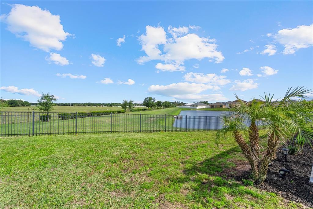 15531 Trinity Fall Way Bradenton, FL 34212 - Photo 69 of 71