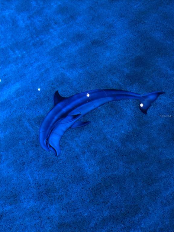 15531 Trinity Fall Way Bradenton, FL 34212 - Photo 9 of 16