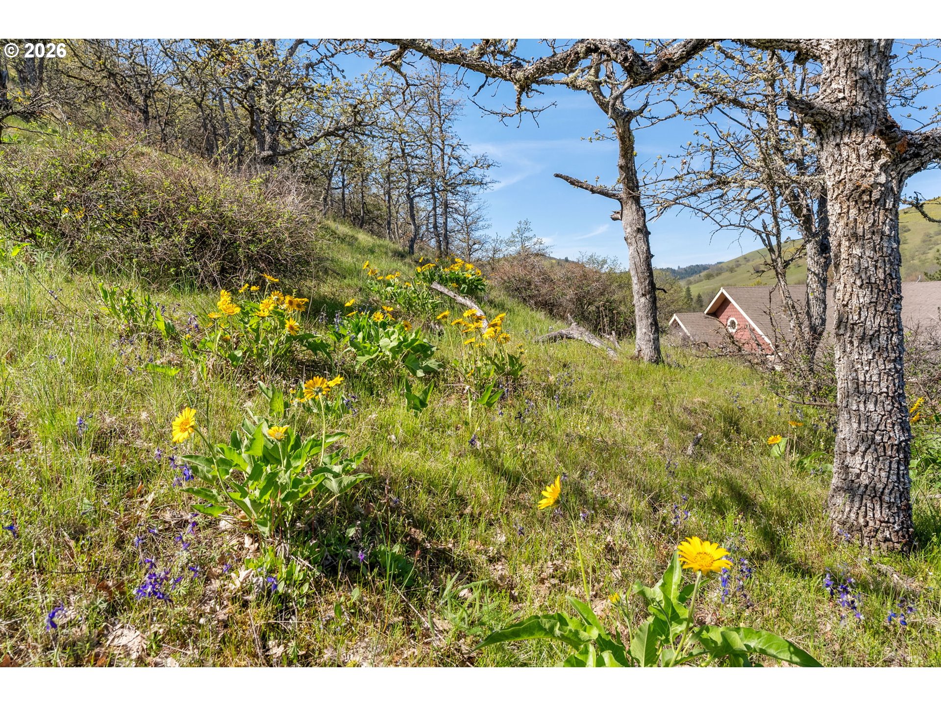 6530 Wells Road The Dalles, OR 97058 - Photo 42 of 48