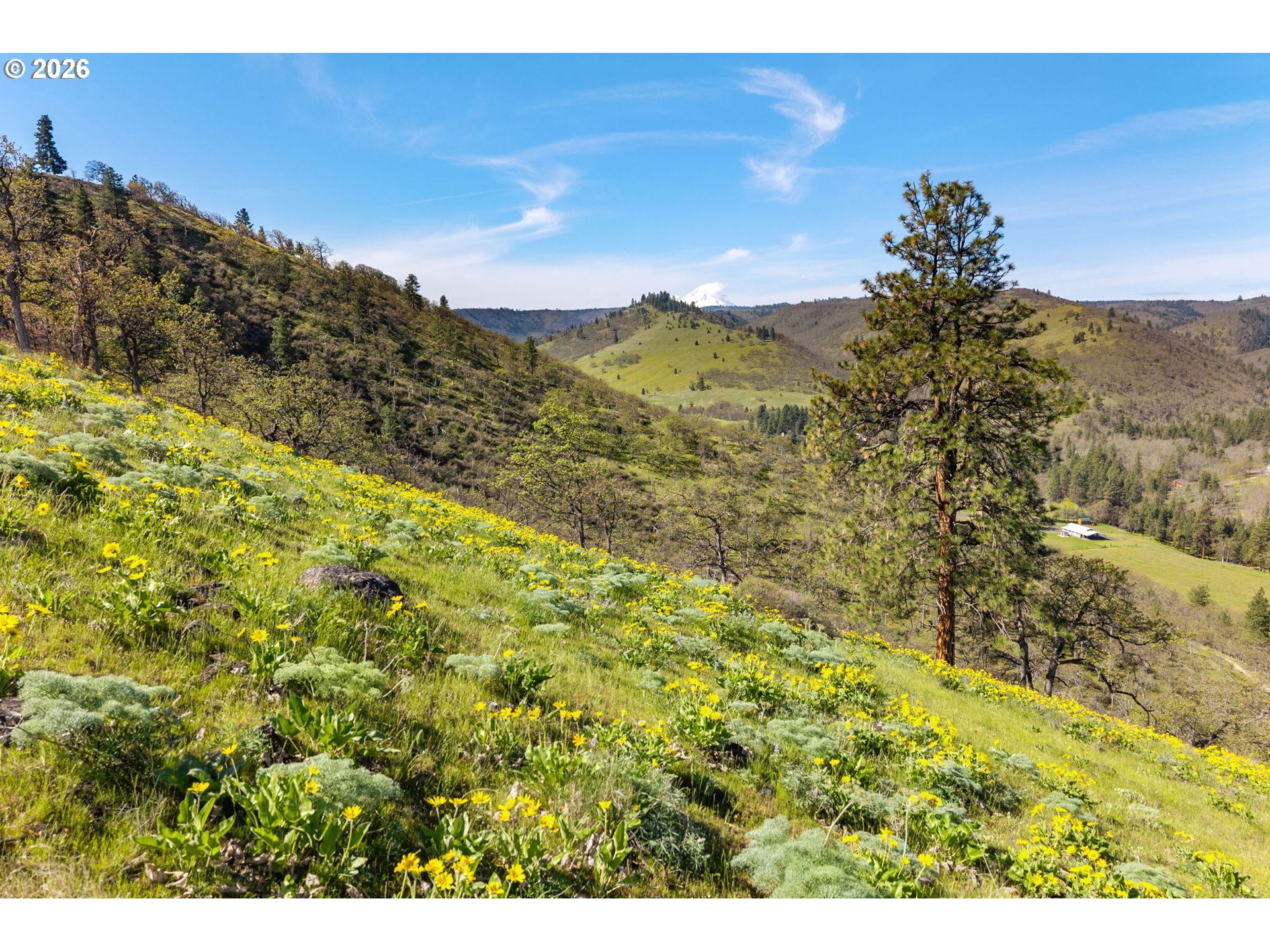 6530 Wells Road The Dalles, OR 97058 - Photo 44 of 48