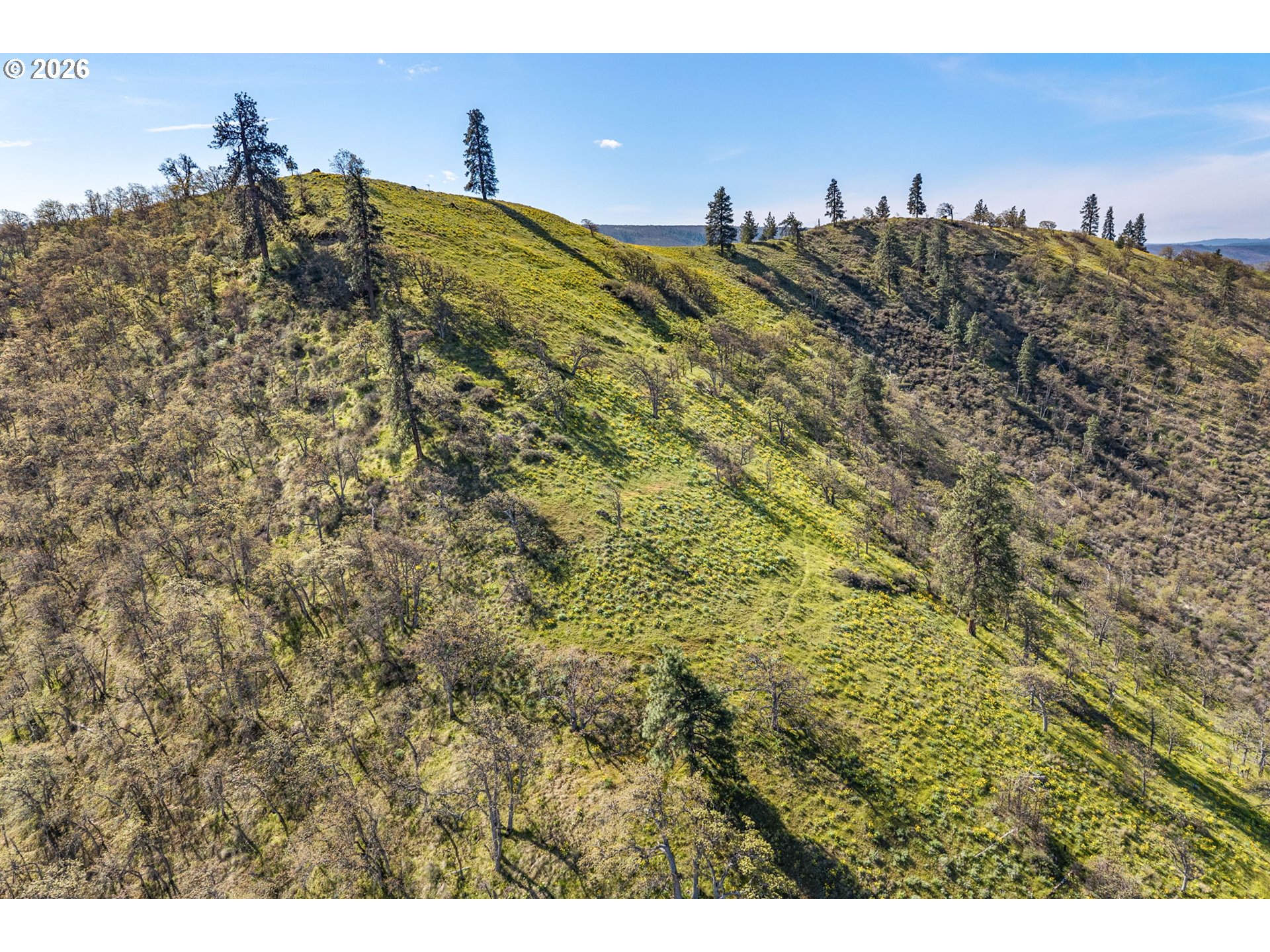 6530 Wells Road The Dalles, OR 97058 - Photo 46 of 48