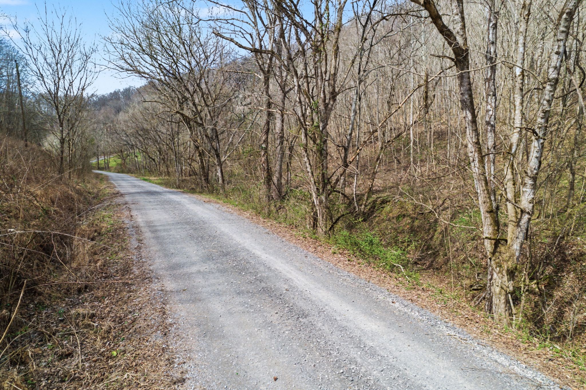 0 Buckeye Hollow Road Smithville, TN 37166 - Photo 2 of 12