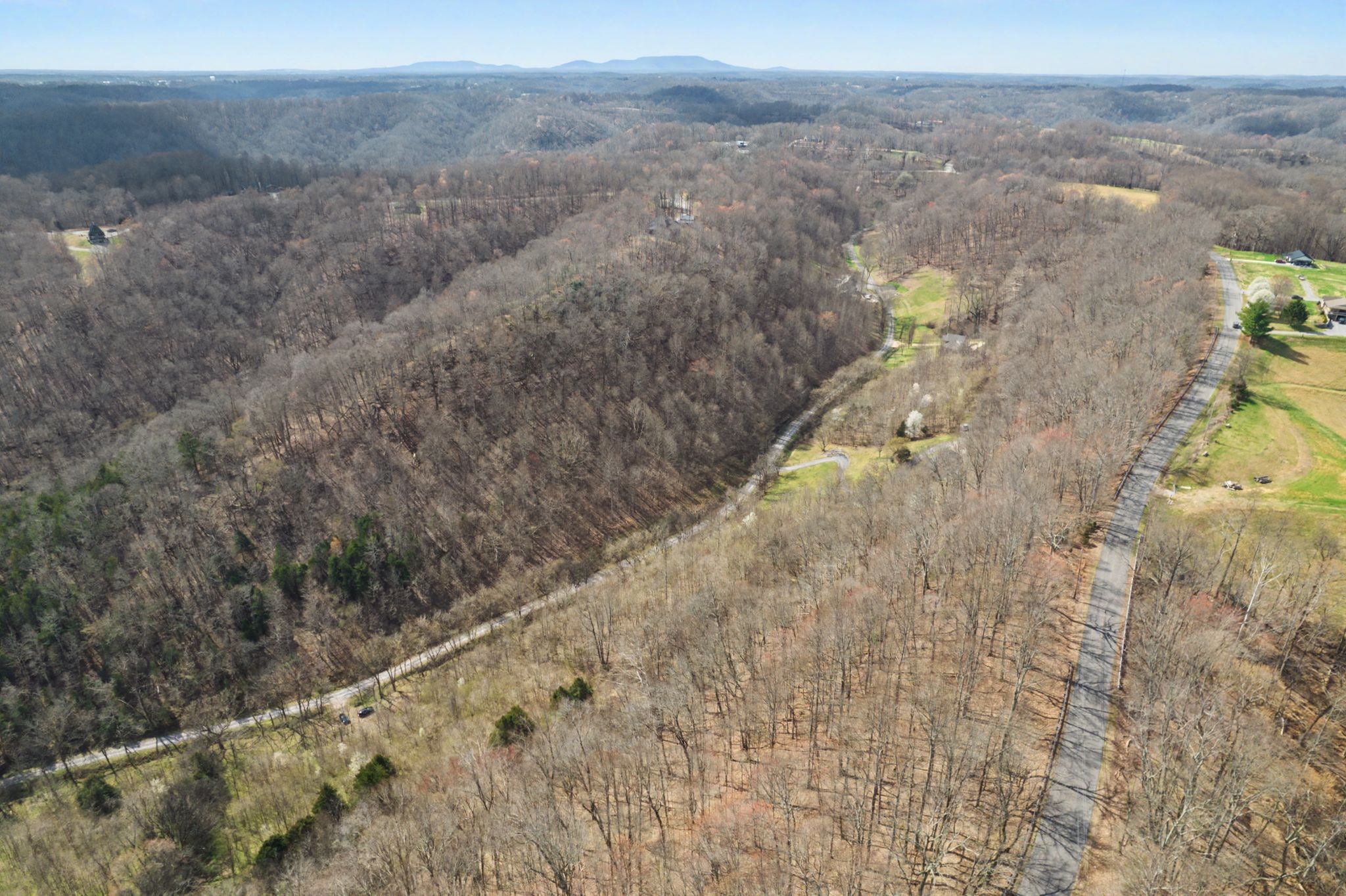 0 Buckeye Hollow Road Smithville, TN 37166 - Photo 6 of 12