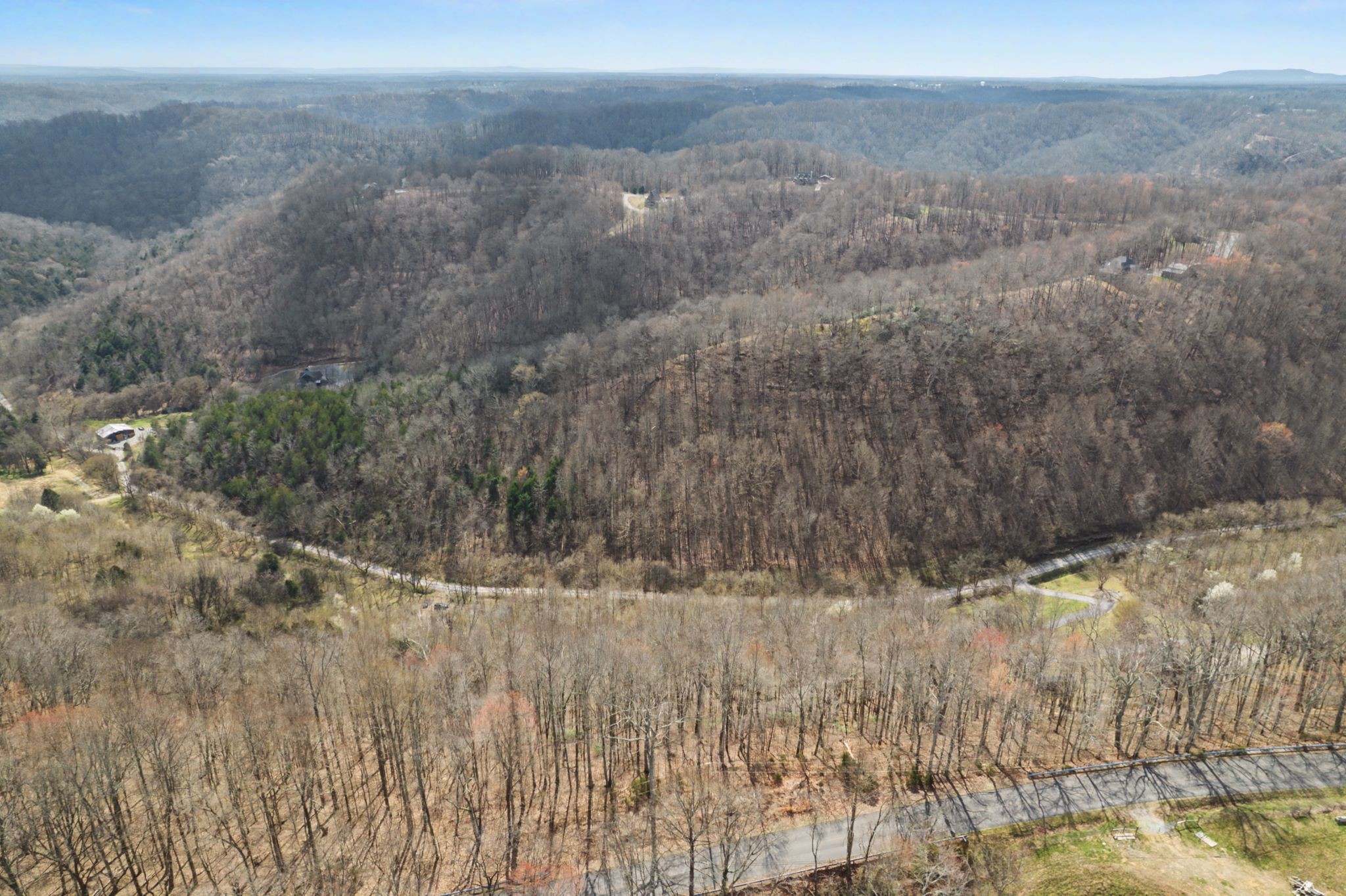 0 Buckeye Hollow Road Smithville, TN 37166 - Photo 7 of 12