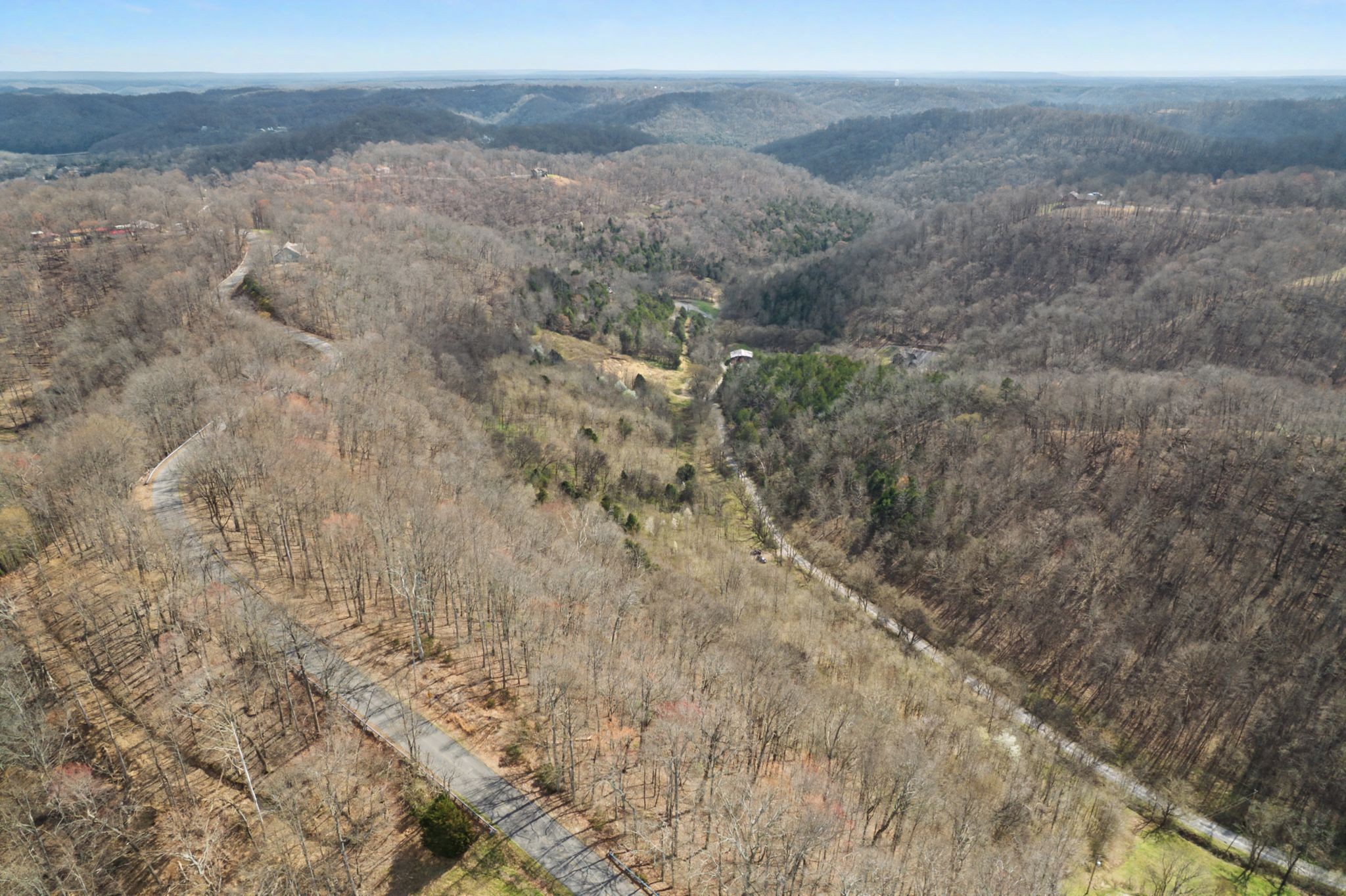 0 Buckeye Hollow Road Smithville, TN 37166 - Photo 8 of 12