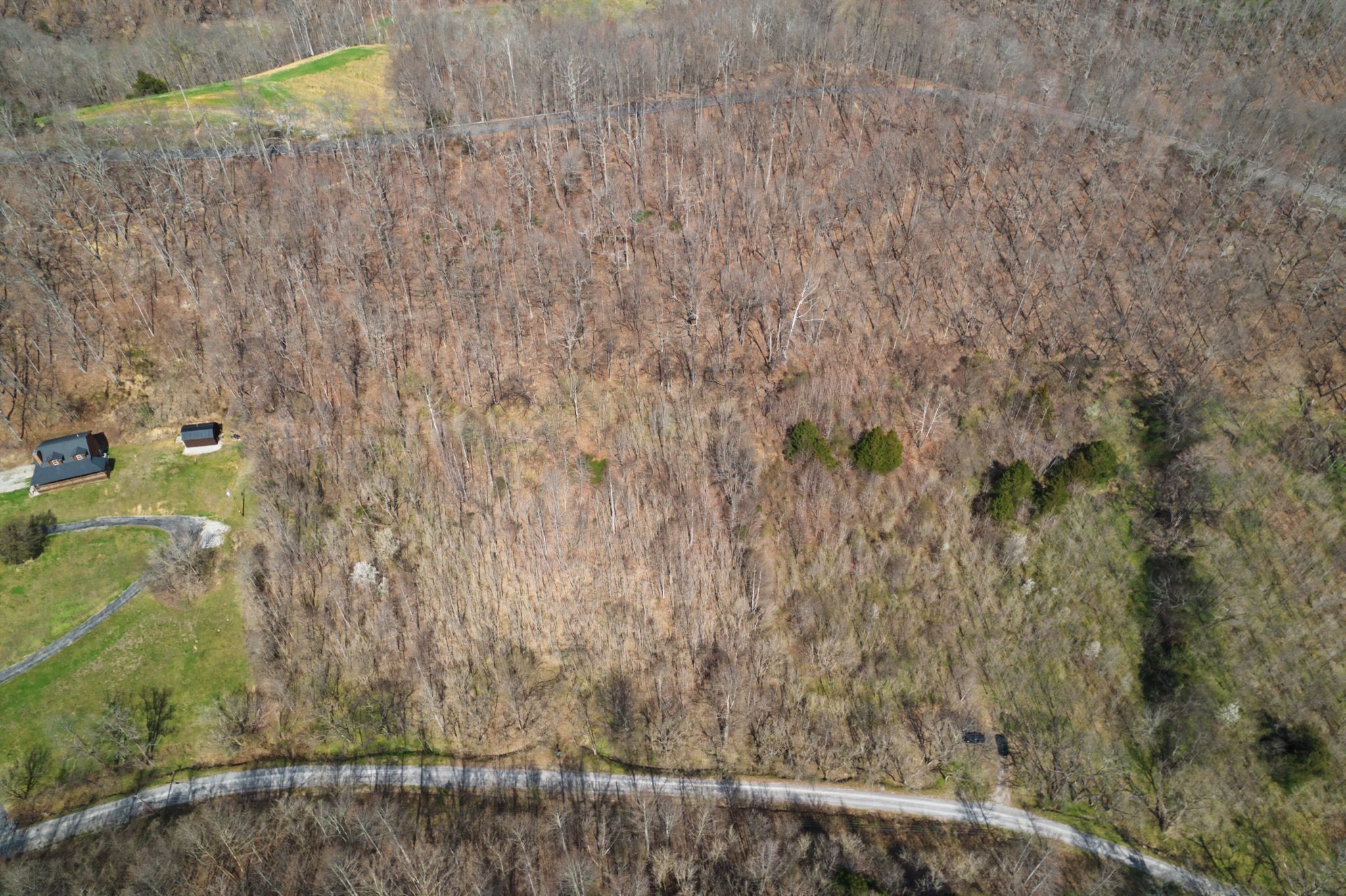0 Buckeye Hollow Road Smithville, TN 37166 - Photo 10 of 12