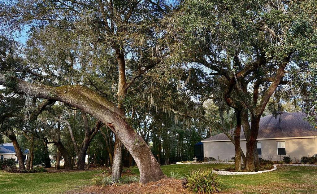 597 Sand Wedge Loop Apopka, FL 32712 - Photo 55 of 71