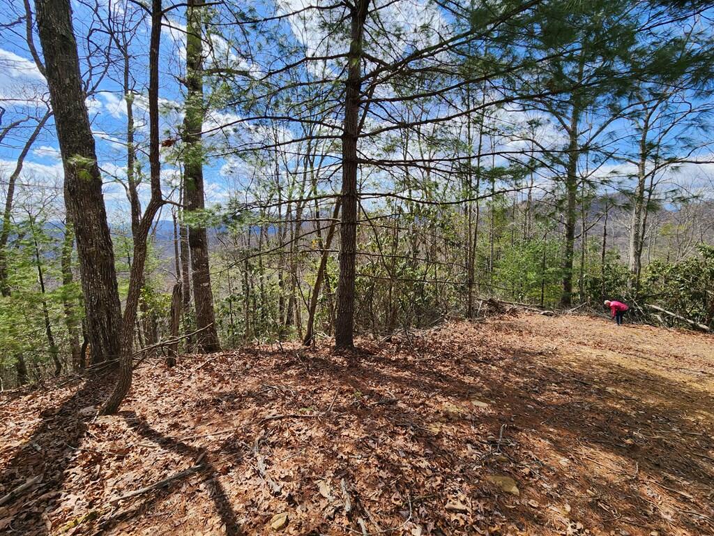 0 Camp Branch Road Topton, NC 28781 - Photo 24 of 41 Gallery Image 24