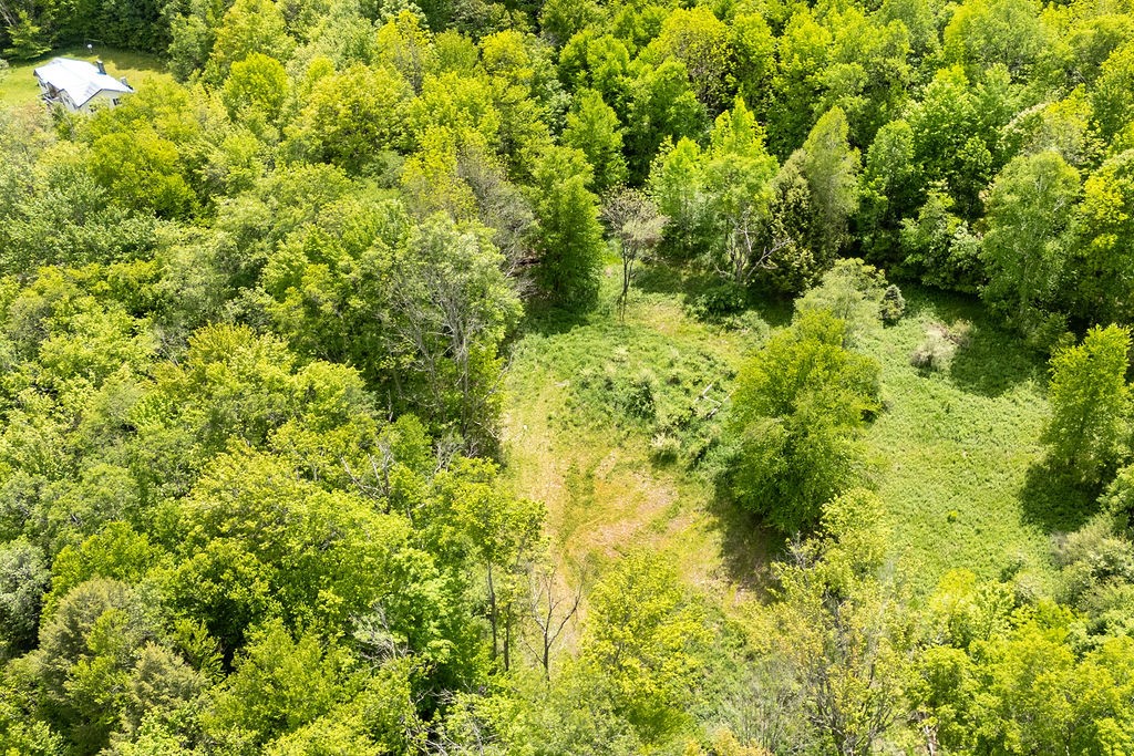 1361 Weaver Hollow Road Andes, NY 12455 - Photo 12 of 23