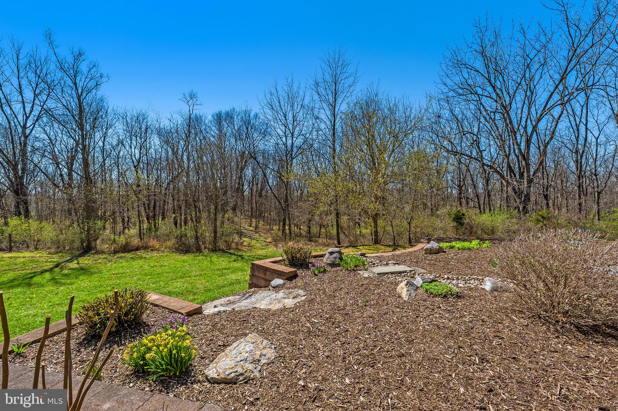 6864-6860 Engle Molers Road Shepherdstown, WV 25443 - Photo 119 of 133 Back yard views