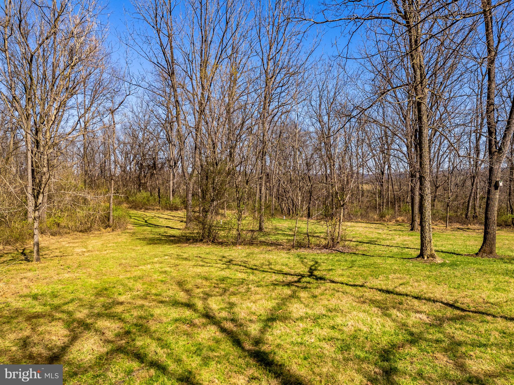 6864-6860 Engle Molers Road Shepherdstown, WV 25443 - Photo 123 of 133 Yard views