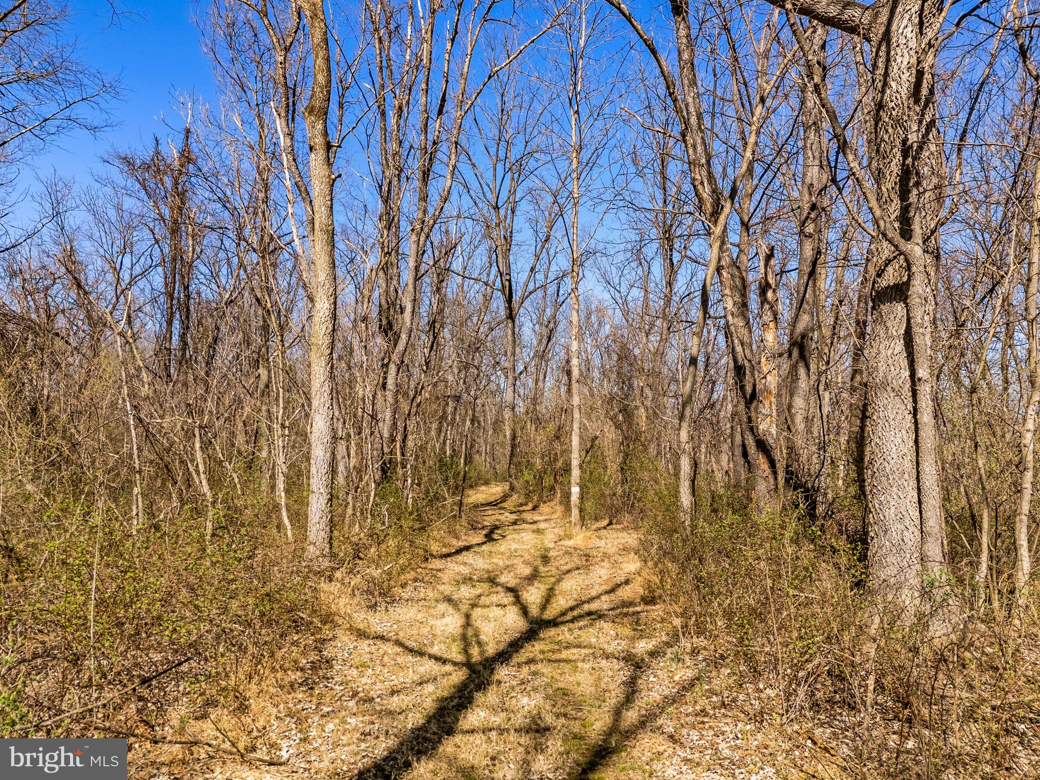 6864-6860 Engle Molers Road Shepherdstown, WV 25443 - Photo 124 of 133 Trails on property
