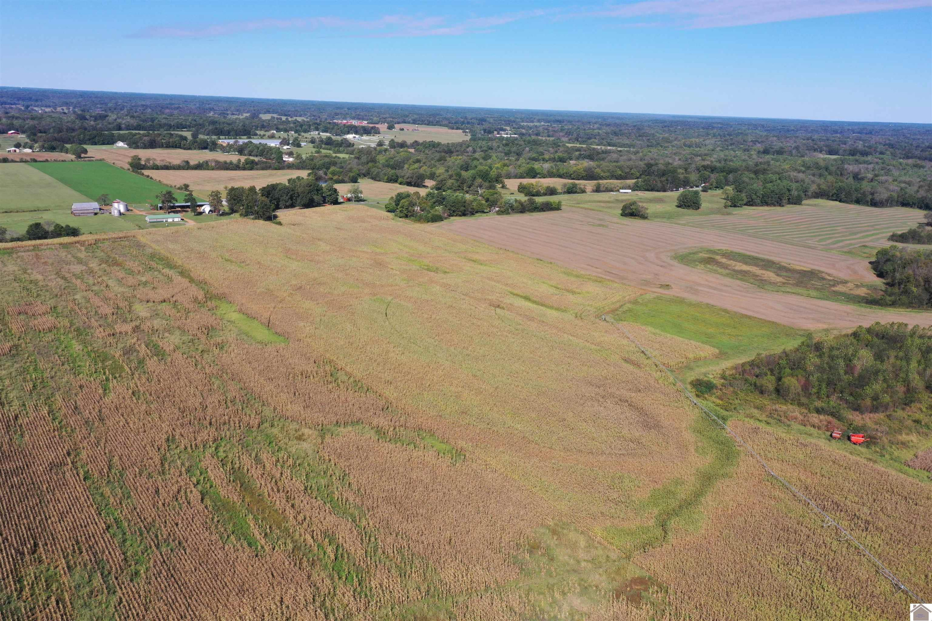 0 Beach Road Kirksey, KY 42054 - Photo 15 of 15 Photo 15