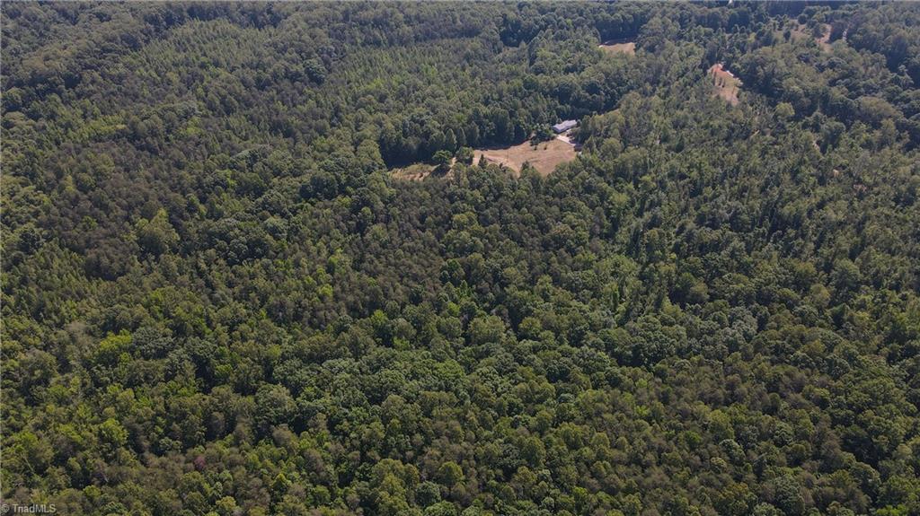 7767 Pearman Quarry Road Kernersville, NC 27284 - Photo 19 of 27