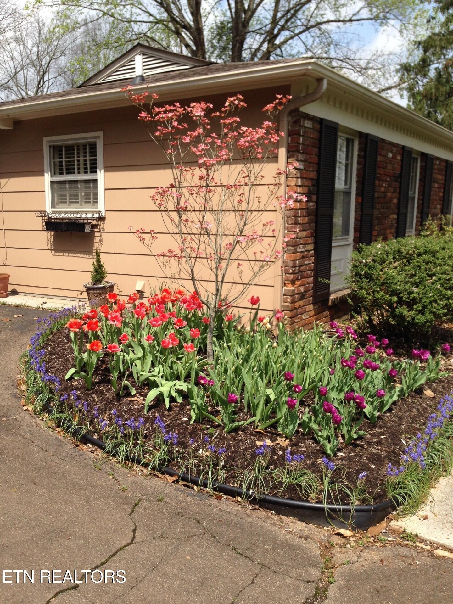 405 Kendall Road Knoxville, TN 37919 - Photo 6 of 45 Gallery Image 6