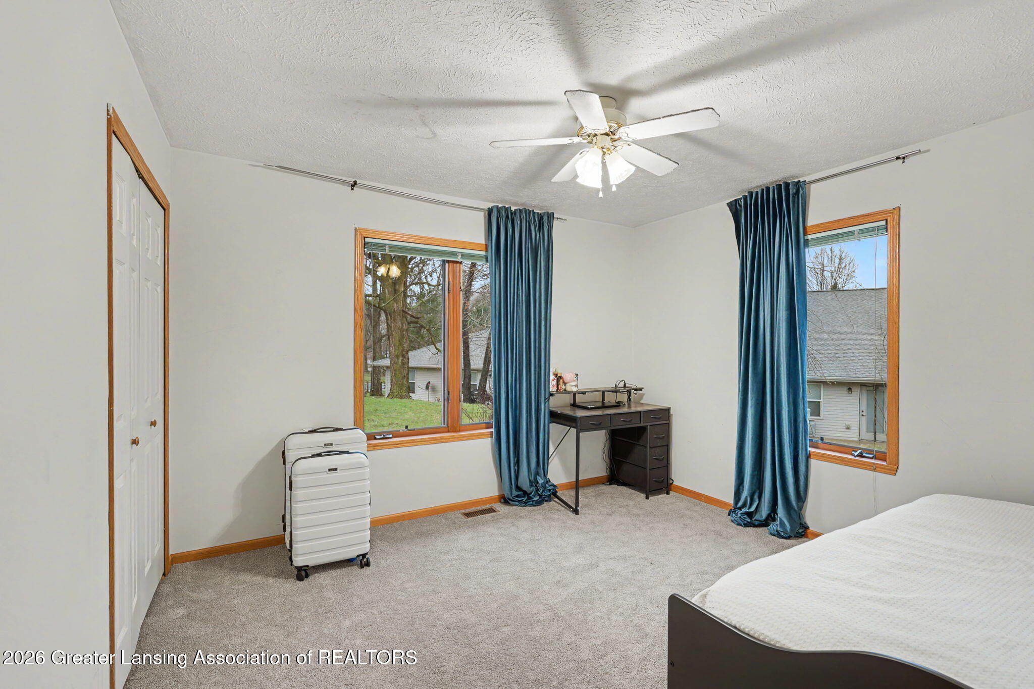 248 Birch Lane Dimondale, MI 48821 - Photo 22 of 44 22-web-or-mls-CQ1A2520
