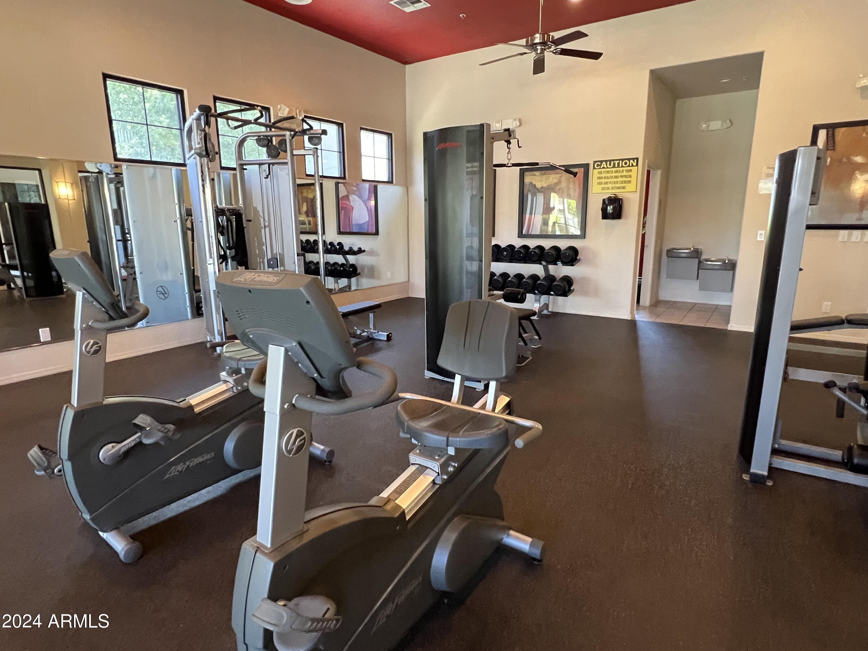 295 North Rural Road, Unit 162 Chandler, AZ 85226 - Photo 31 of 32 IMG_4474