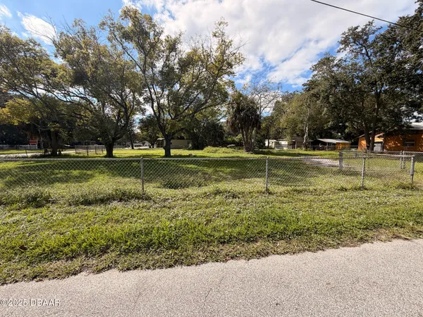 a view of a park with large trees