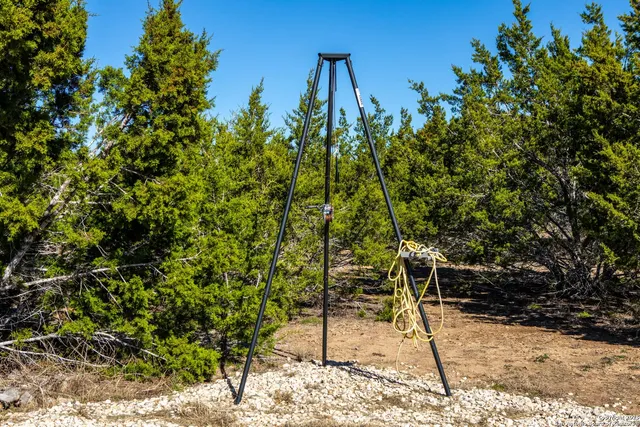 a view of outdoor space and covered with trees