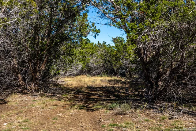 a view of mountain view