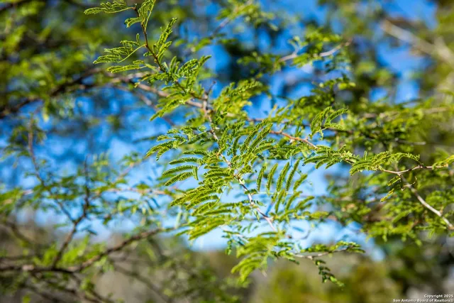 $349,000 | 10935 Fm 470, Tarpley, TX 78883