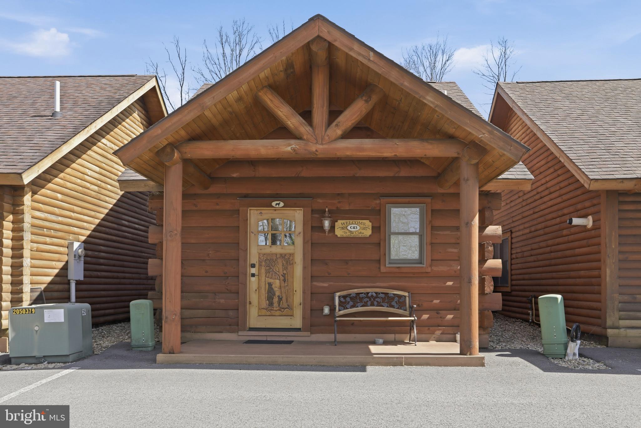 291 Cabin Lodge Road McHenry, MD 21541 - Photo 1 of 9
