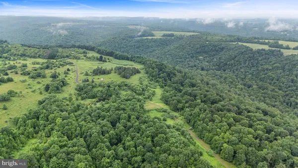 a view of a big yard with lots of green space