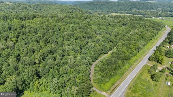 a view of a forest from a window