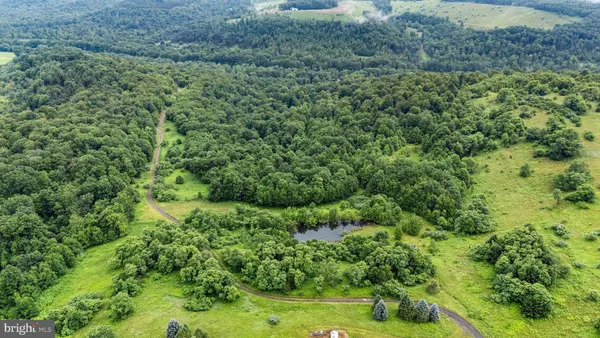 a view of a city with lush green forest